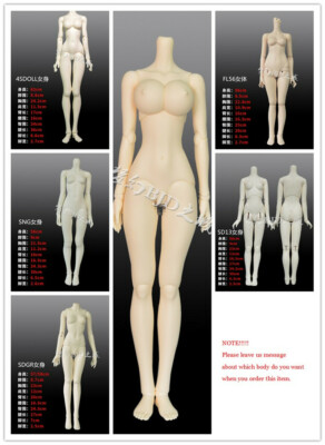 1/3 BJD SD Resin Doll Body Only Female Unpainted Doll Body 6 Types Available NEW