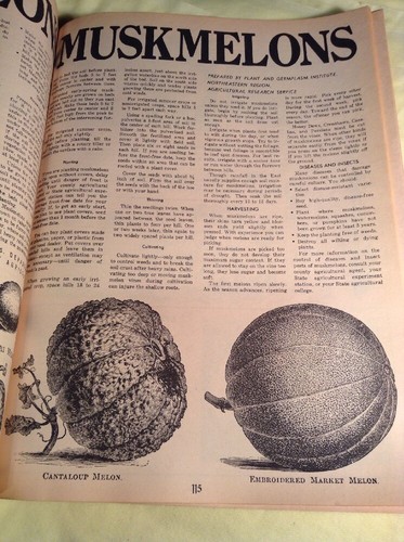 VTG 1975 The Gardeners Catalogue Food Gardens Indoors, Outdoors & Under Glass