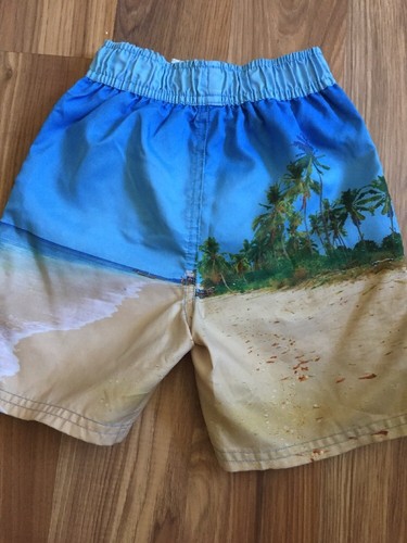 Disney 2T Boys Swim Trunks Shorts