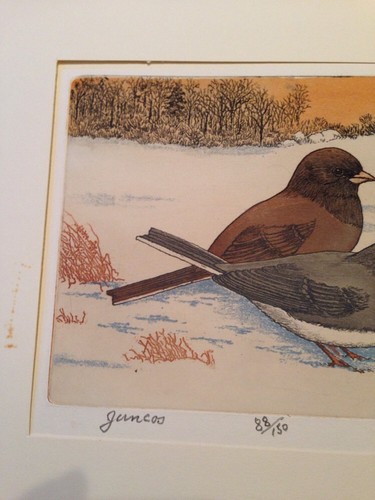 M R Bebb Juncos Art 87/150 1974 Bird Color Etching Print Picture New Old