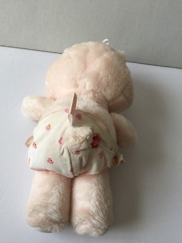 Care Bears Baby Hugs Pink Heart Star Plush Stuffed 10