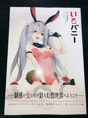 IRO BUNNY (GRAPHICTION BOOKS)  Good Condition