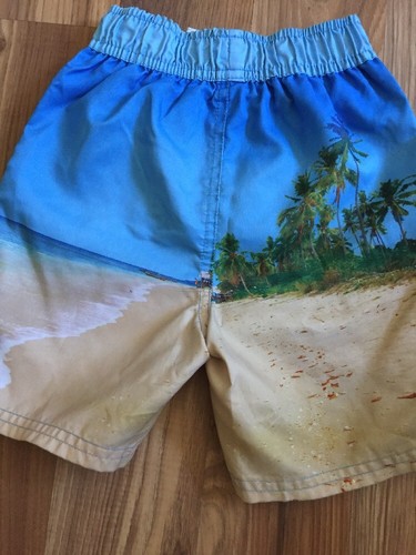 Disney 2T Boys Swim Trunks Shorts