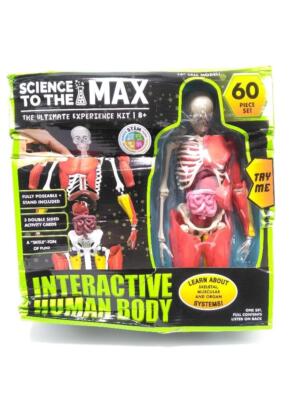 Be Amazing! Toys Interactive Human Body 14  Tall Model -Ages 8+ Damaged Box