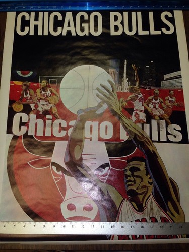 Vintage Rare 1969 Chicago Bulls Poster Bendelow & Associates Rare