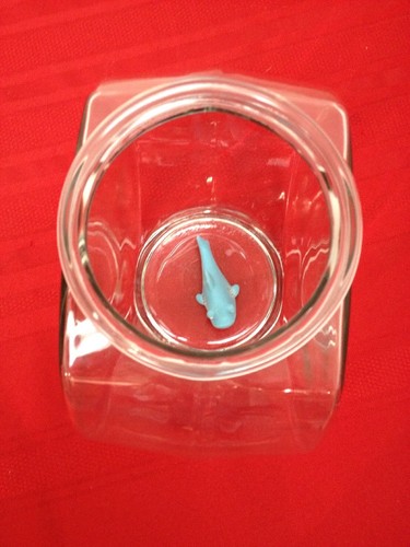 Glass Fish Tank - Drum Shaped Bowl Plant Terrarium Container 8.5