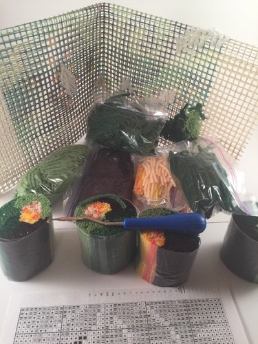 LARGE 15x20 WonderArt Latch Hook Kit 