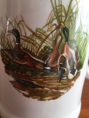 SCHMIDT  STEIN MUG BEER DUCKS BRAZIL John James Audubon