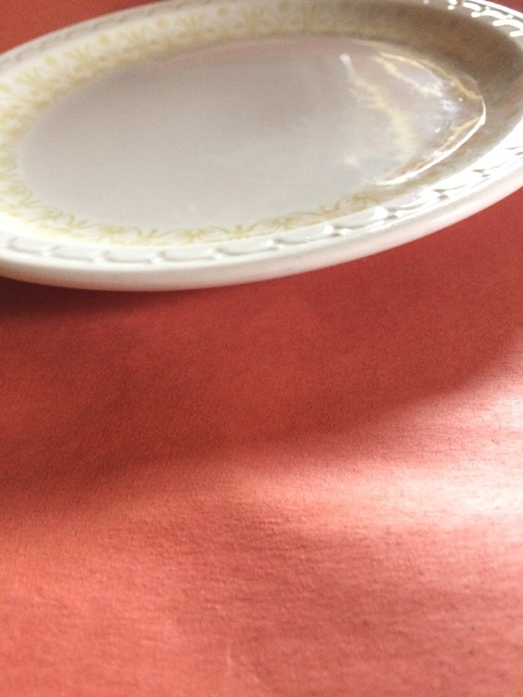 2 Restaurant Ware  SYRACUSE pottery Classic Bronze    SY291 ECONO  Plates 9