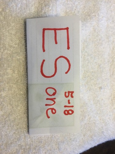 CHINESE EXHIBITION Chinese Bldg Chinese Writing SOUVENIR LAPEL HAT BAG PIN