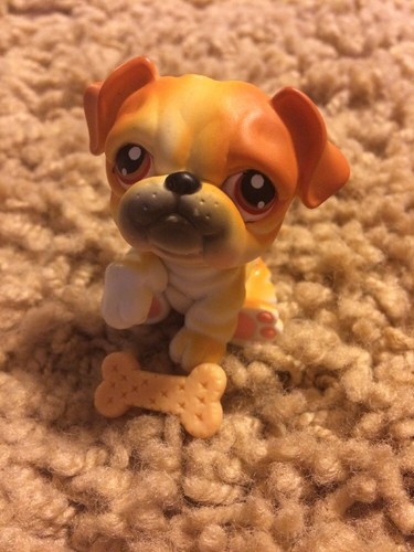 Littlest Pet Shop Orange Tan Dog Bulldog #46 W/ Bonus Seaweed Stand & Harnesses