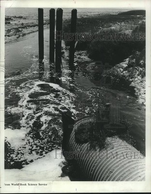 1986 Press Photo Improperly treated sewage causes water pollution across Texas.