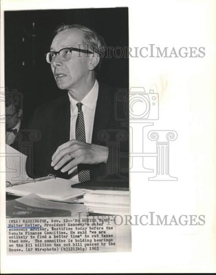 1963 Press Photo Walter Heller testifies at Senate Committee in Washington