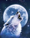 shadowolf.2007