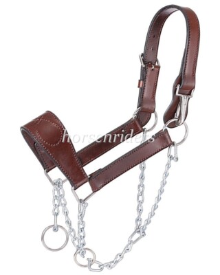Leather Mule Halter with Draw Chain