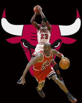マイケルジョーダン 絵皿 Bulls In Five サイン印刷入り マイケルジョーダン 絵皿 Bulls In Five サイン印刷入り - メルカリ