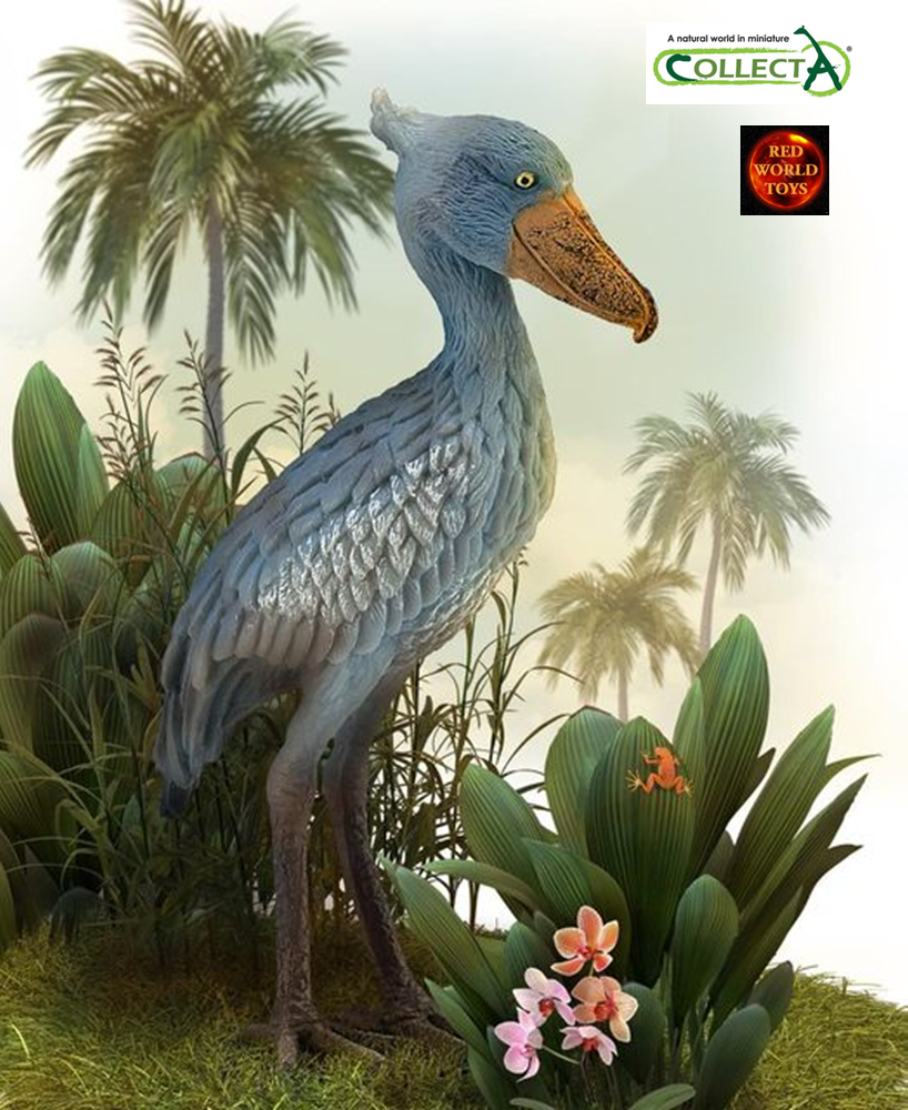 特撮 Shoebill Shoebill | New ideas by Matt Weaver Wiki | Fandom