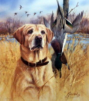 James Killen Faithful Friend Yellow Lab Hunting Dog Artists Proof  15 x 17
