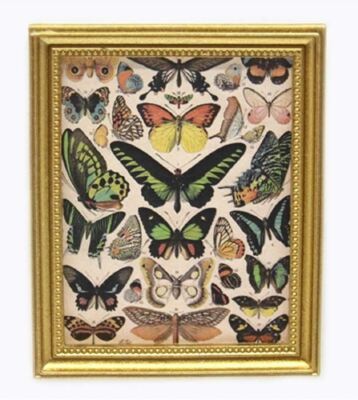 Dolls House Butterflies Painting Picture in Gold Frame Miniature Accessory 1:12