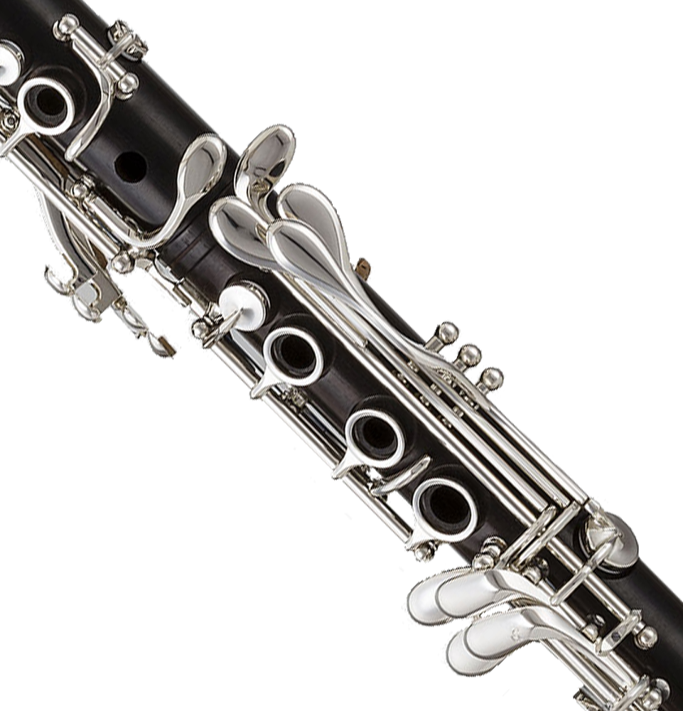 RZ Bohema Professional A Clarinet