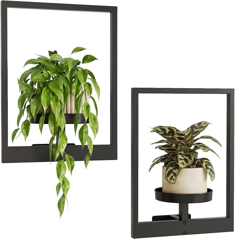 Wall-Mounted Flower Stand 2-Pack Metal Planter Rack Black | 2-Pack Picture Frame
