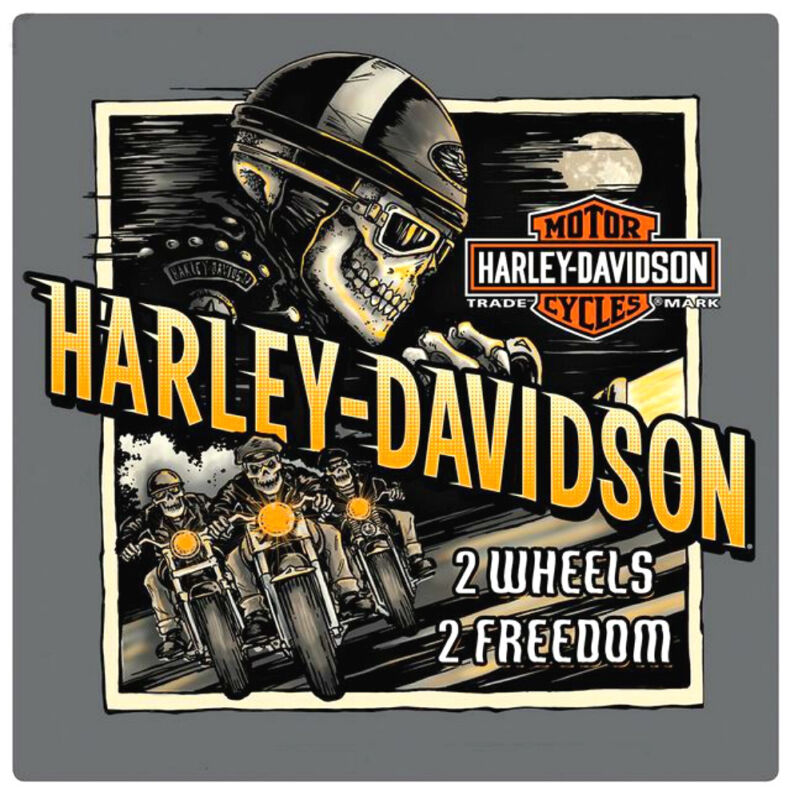 Harley-Davidson® Bar & Shield Skull Rider Embossed Tin Sign (14.5) 2011321
