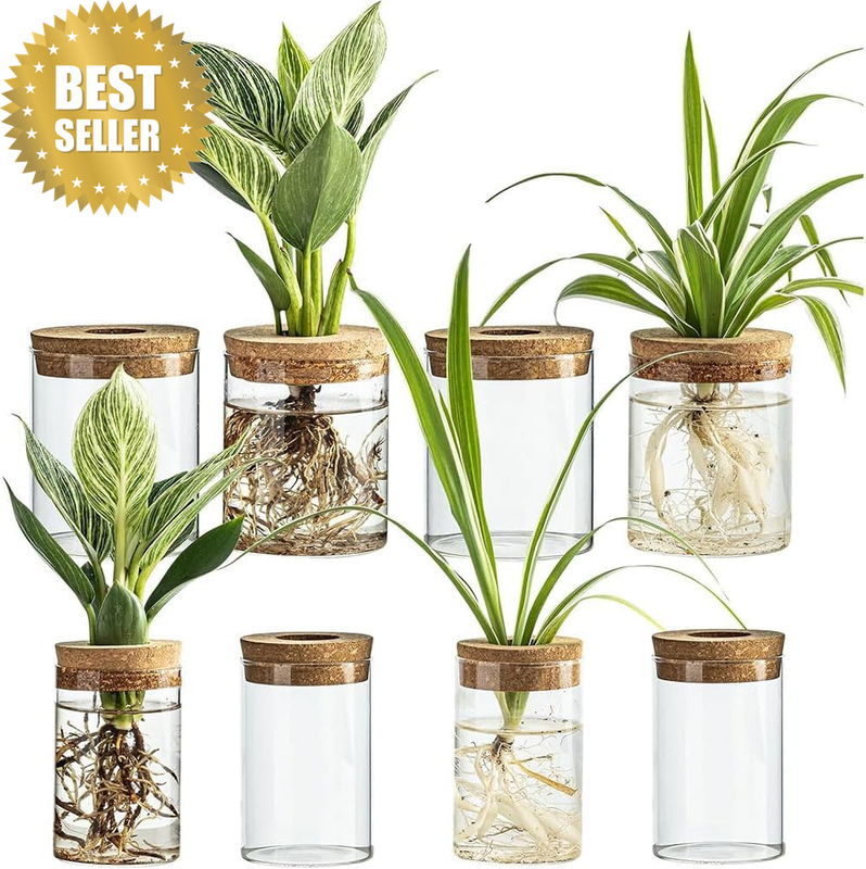 8Pcs Glass Propagation Stations, Hydroponic Vase, Plant Terrarium Vases