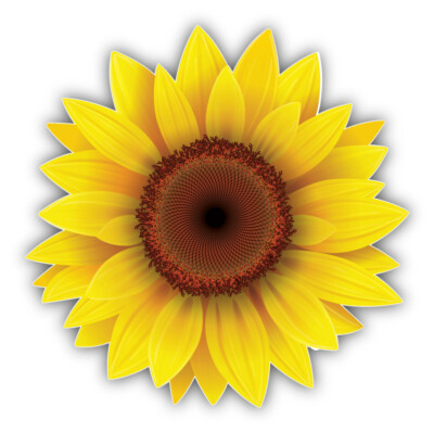 Sunflower Car Vinyl Sticker Decal