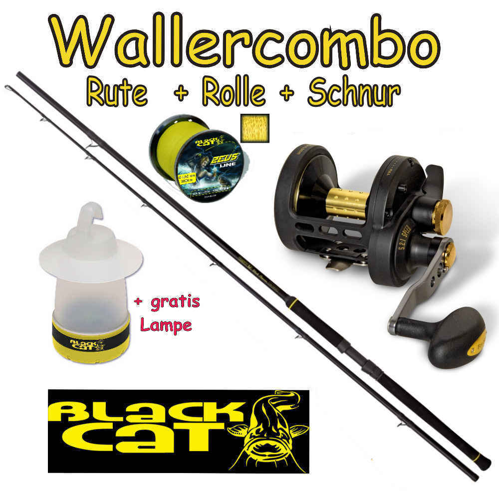 Black Cat Waller Combo Rute + Multirolle LH + Schnur + gratis Lampe Waller-Shop