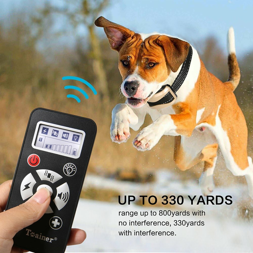 A+ Trainer 800 Yards Range Remote Training Collar, Rechargeable and Waterproof