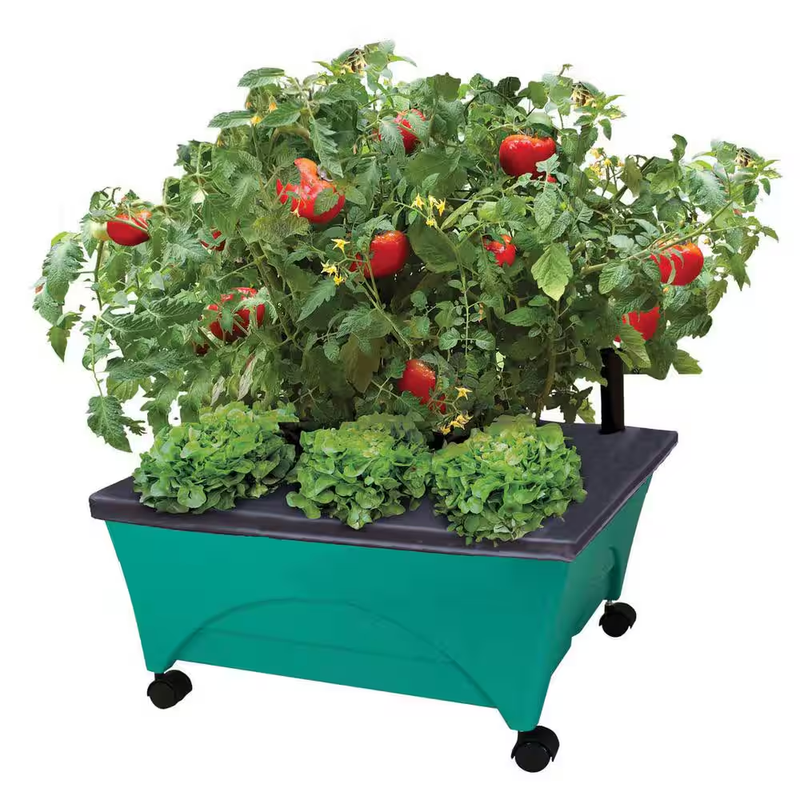 Raised Garden Bed Patio Planter Kit Self Watering 24.5in Resin Vegetable Box UV