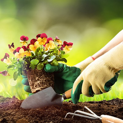 Rastrillo Profesional 🥇 -50% 🥇