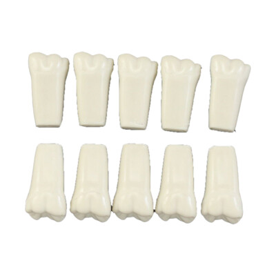 IVORINE TEETH FOR TYPODONT 860 - 10 PACK COMPATIBLE WITH COLUMBIA TYPODONTS