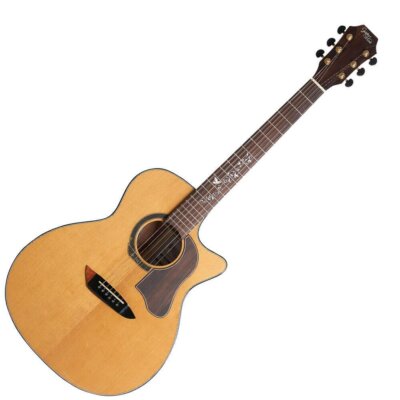 Gopher Wood アコースティックギター アコースティックギター】入門向けアコースティックギター