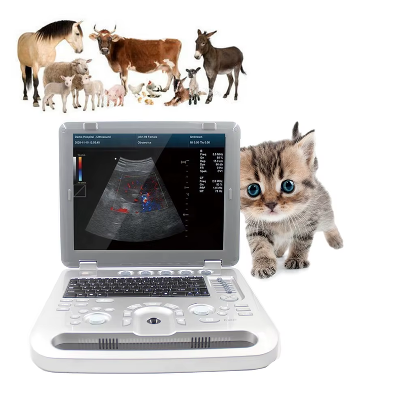 Veterinary Color Doppler Ultrasound Probe Portable Animal Ultrasound Scanner Pro