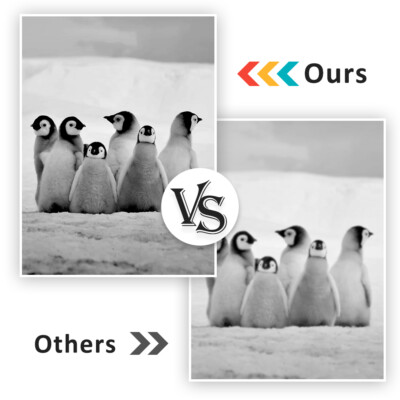 TN450 Toner Cartridge DR420 Drum for Brother HL-2270DW HL2240 2280DW 7360N Lot