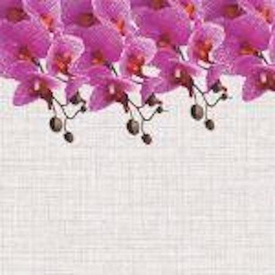 Altoona Design Organics Collection Paper Placemats 24/pack
