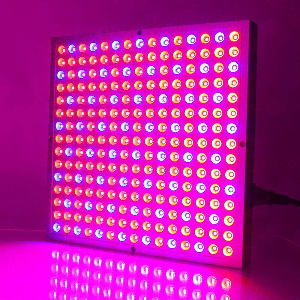 Veg Lamp For Indoor Hydroponic Plant