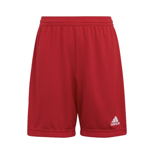 Gucci X Adidas Marco GGTrefoil Print Silk Shorts S | eBay