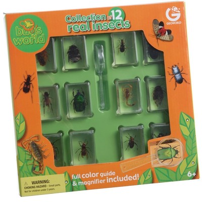 Constructive Playthings Bugs World Collection, 12 Real Insects, Scientific Ed...