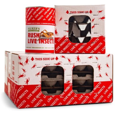 500 Count Fluker's Live Crickets Large Approx. 34 For Reptiles Chickens