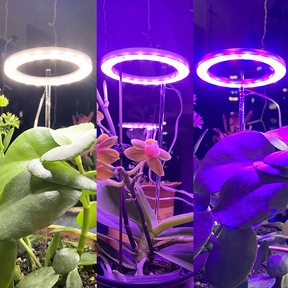 Bulb Full Spectrum 200w Equivalent Indoor Plants