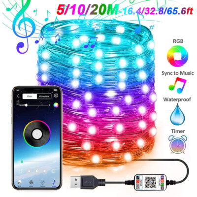 Smart APP Control Fairy String Light 5M/10M/20M 50-200LED Copper Wire Lights USA