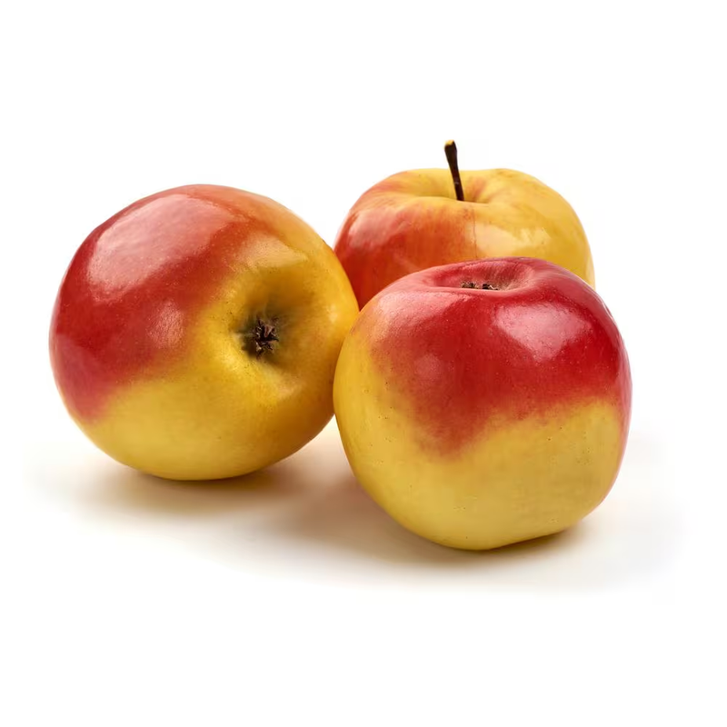 Ambrosia Apple Tree Bare Root 3ft Cold Hardy Fruit Tree Sweet Juicy Baking Fresh