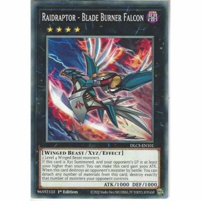 YuGiOh DLCS-EN101 Raidraptor - Blade Burner Falcon | 1st Ed Common Trading Card