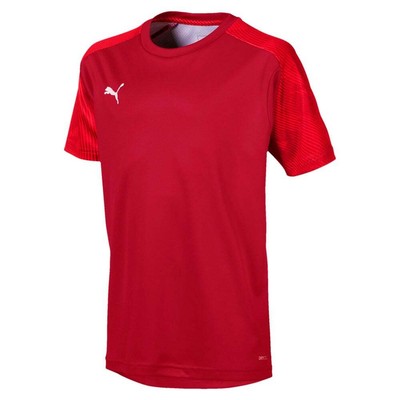 

Puma Cup Training Crew Neck Short Sleeve Soccer Jersey Youth Boys Red 656024-01, Красный, Puma Cup Training Crew Neck Short Sleeve Soccer Jersey Youth