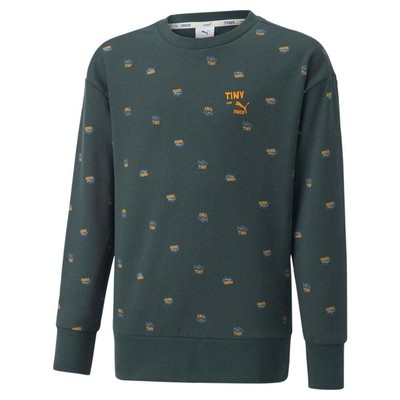 

Толстовка Puma Aop Crew Neck X Tinycottons Boys Green 533993-80, Зеленый