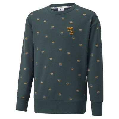 Толстовка Puma Aop Crew Neck X Tinycottons Boys Green 533993-80