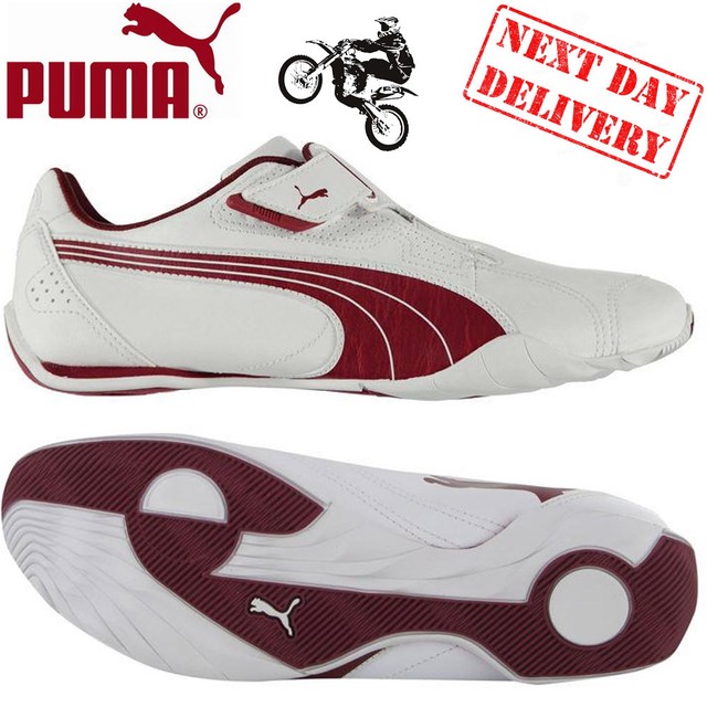 puma redon puma redon