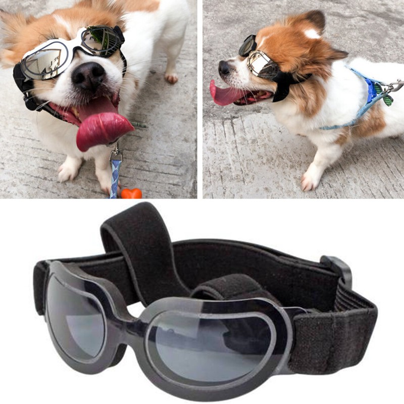 Kleine Haustier Hundebrille Anti-UV Sonnenbrille Sonnenbrille Augenschutz Tragen